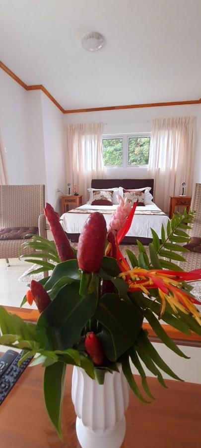 Le Chant De Merle Self -Catering Studios And Apartments Mahe Island Exterior foto